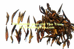 Wild Thousand Years Ancient Tree Tea Buds