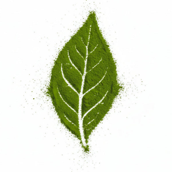 50g. Organic Matcha. Awarded Winning Tea Region. Eco-Farmer Certification. Ceremonial Kyushu: Longevity Matcha.Volcano Soil .First Flush
