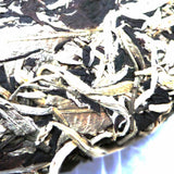 Ancient Tree Moon Light White Puer