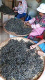 Lab Tested - Green Tea- Ancient Tea Tree Puer (Hundreds Year Old Tea Trees) 50g, 60cups+