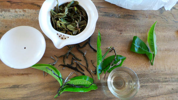 Lab Tested - Green Tea- Ancient Tea Tree Puer (Hundreds Year Old Tea Trees) 50g, 60cups+