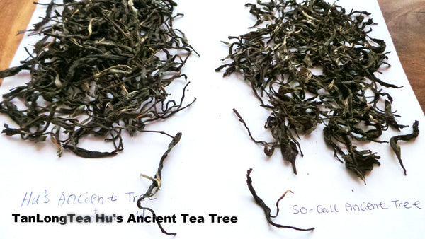 Hu's  Hundreds Year Old Ancient Tree Unfermented Puerh Cake Tea 2014 (大胡寨古樹茶)