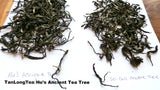 Lab Tested - Green Tea- Ancient Tea Tree Puer (Hundreds Year Old Tea Trees) 50g, 60cups+