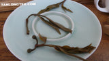 2021 spring ancient tree ManSong- Once the Imperial Tribute Tea- Rare Mystical ManSong Tea Forest 曼松貢茶