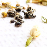 The All Natural Brain Booster Jasmine Blend  20g