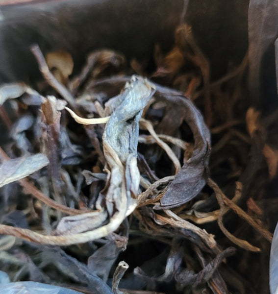 2015 YiWu Mountain gift tin 50g