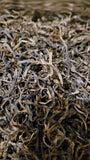 2021 spring ancient tree ManSong- Once the Imperial Tribute Tea- Rare Mystical ManSong Tea Forest 曼松貢茶