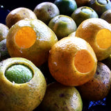 Large Old Tea Tree Fermented Tangerine PuEr Tea 35g