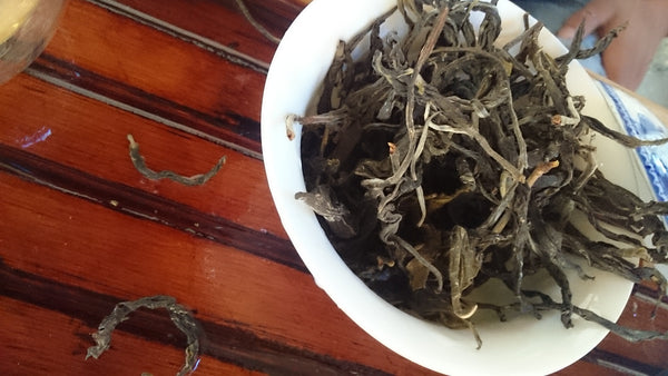 The Home for Butterflies-LanCang Rier Basin- XiGui ManLu Mountain Ancient Tea Tree 2013 昔歸古樹