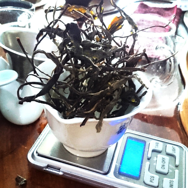 WAN GONG Puer Tea, limited 600+ Years Ancient Tree Unfermented PuEr 彎弓古樹
