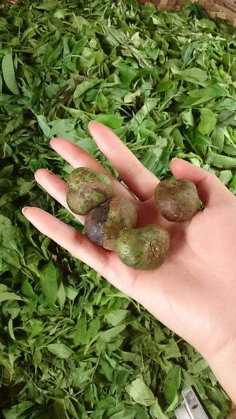2015 YiWu Mountain gift tin 50g