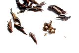 Primordial Purple Tea Buds