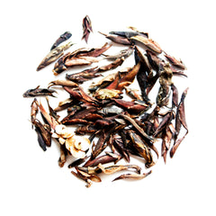Primordial Purple Tea Buds