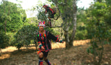 Jing Mai Mountain Hundreds Year Old Wild Tea Tree- Mini Disc 景邁山放野老茶樹 (Unfermented PuEr)