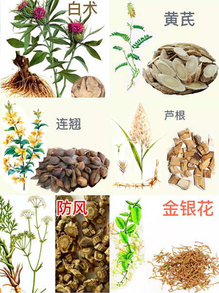 Chinese Herbal Tea to help improve immune system 60g